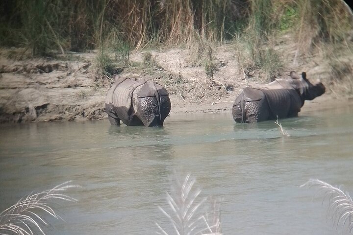 Chitwan National Park PVT. Jeep Safari untouched Side from Madi