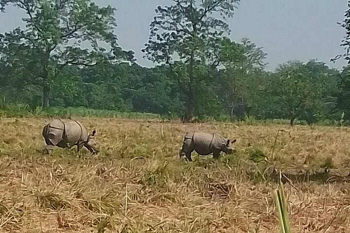 Chitwan National Park PVT. Jeep Safari untouched Side from Madi