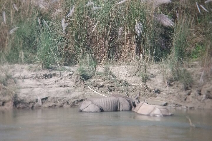Chitwan National Park PVT. Jeep Safari untouched Side from Madi