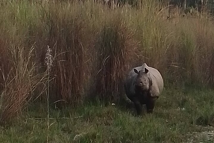 Chitwan National Park PVT. Jeep Safari untouched Side from Madi