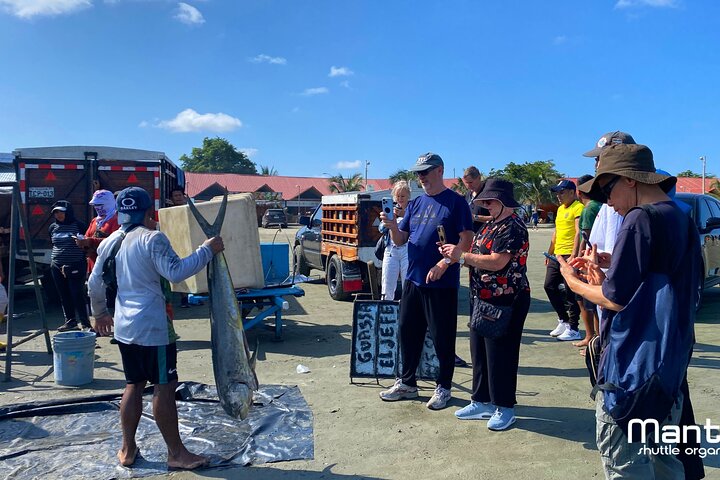 Manta's highlights & Montecristi Hats