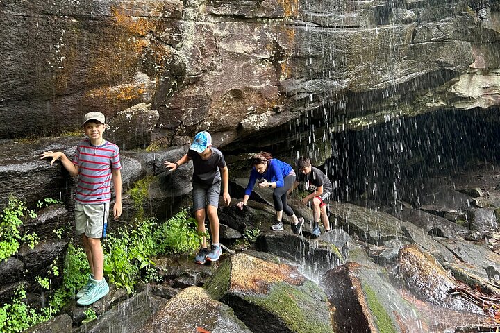 Waterfall Jeep Tour - Backroads and Scenic Views