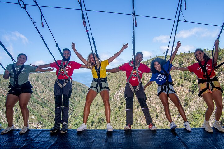 Bloukrans Skywalk Tour
