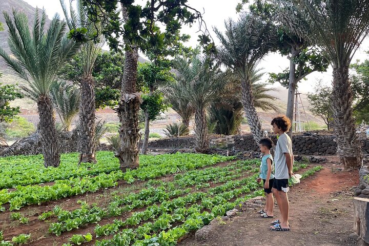 Best of São Vicente & Santo Antão – 2 Days: Car, Ferry & Guide