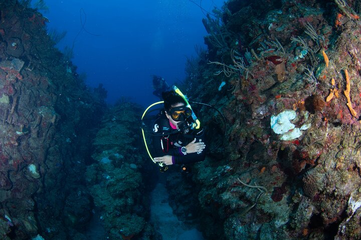 2-Tank Scuba Boat Trip in World-Class Sites @ Copamarina