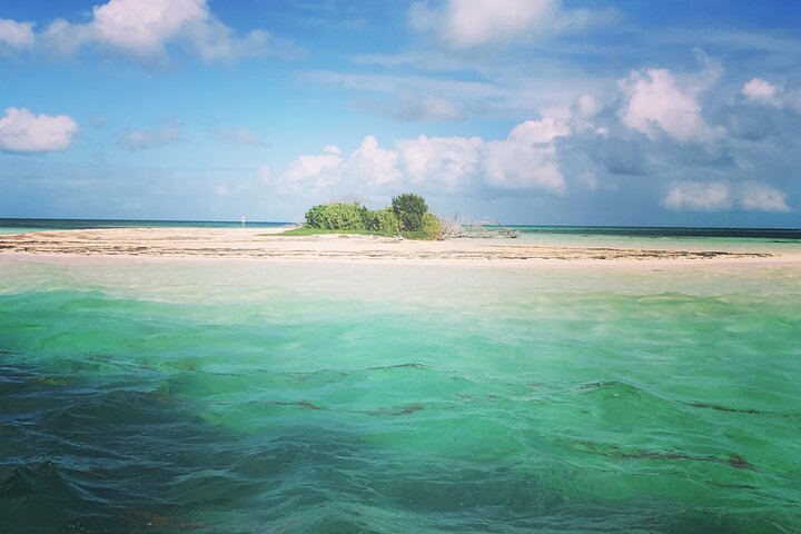 Visite guidée en français en bateau : Mangrove, ilets, snorkeling