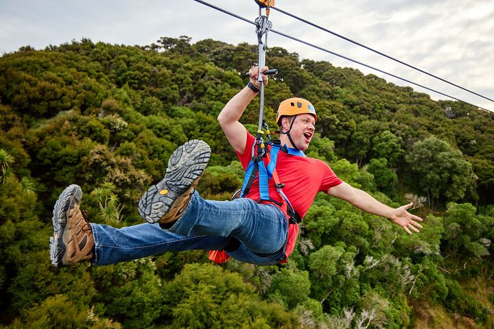 Half Day Zipline Adventure in Kaikoura