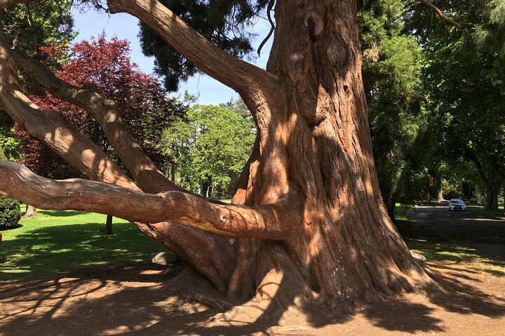 COMBO Victoria City Tour & Butchart Gardens & Entry Tix