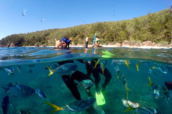 Whitsunday Islands Sail, SUP & Snorkel Tour-Small group