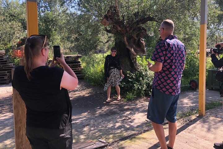 Organic Olive Grove tour & Olive oil tasting & lunch in Kalamata!