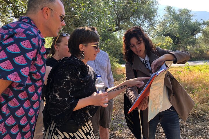 Organic Olive Grove tour & Olive oil tasting & lunch in Kalamata!