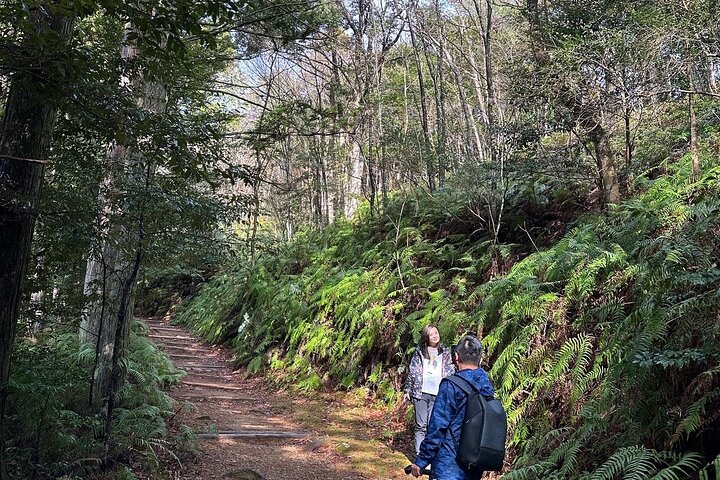 Kumano Kodo Pilgrimage in 1 Day Hike with Licensed Guide