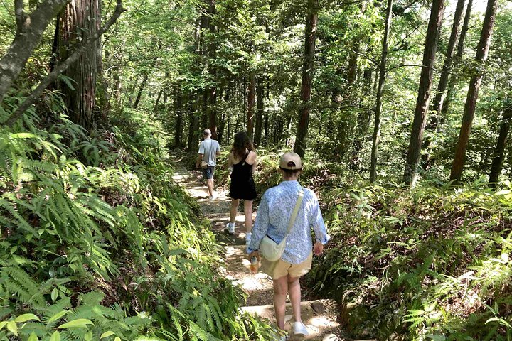 Kumano Kodo Pilgrimage in 1 Day Hike with Licensed Guide