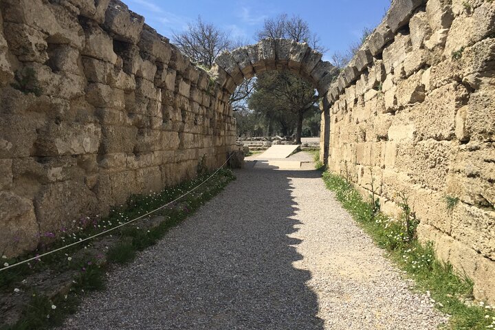Private Excursion to Ancient Olympia - bee farm & winery