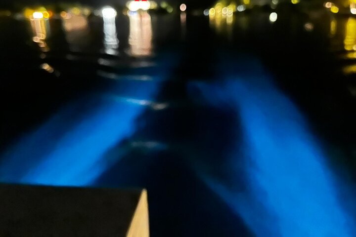 Grand Cayman - Bioluminescent Bay Tour