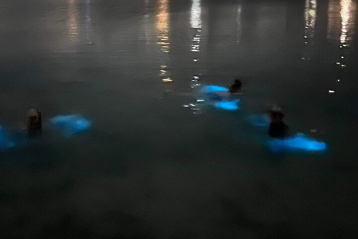 Grand Cayman - Bioluminescent Bay Tour