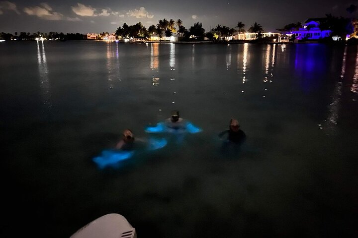 Grand Cayman - Bioluminescent Bay Tour