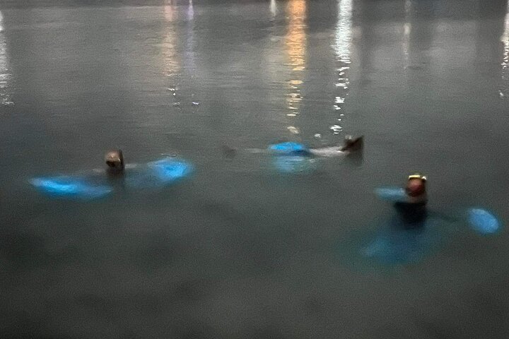 Grand Cayman - Bioluminescent Bay Tour