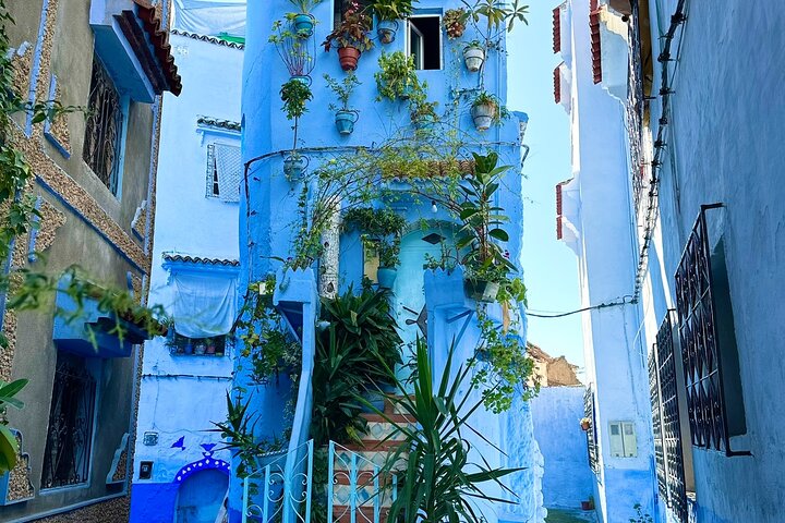 Explore chefchaouen like a local