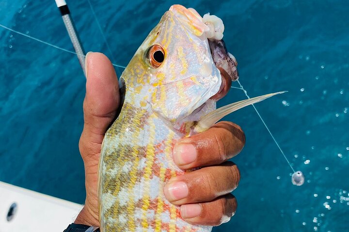 Crystal Bay Exuma Private Boat Tours & Fishing Charters
