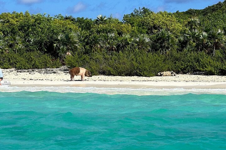 Crystal Bay Exuma Private Boat Tours & Fishing Charters