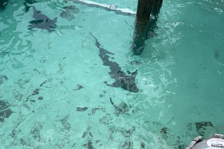 Crystal Bay Exuma Private Boat Tours & Fishing Charters
