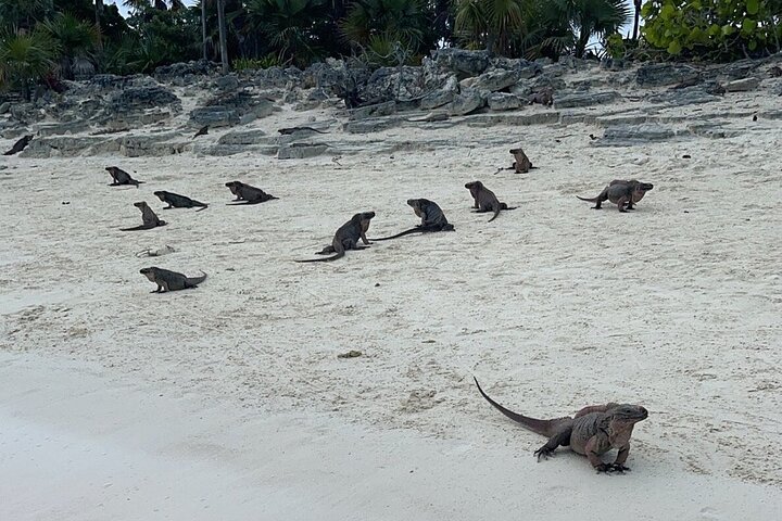 Crystal Bay Exuma Private Boat Tours & Fishing Charters