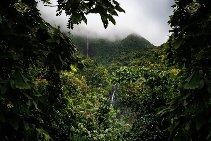 Full Day Tour of Guadeloupe