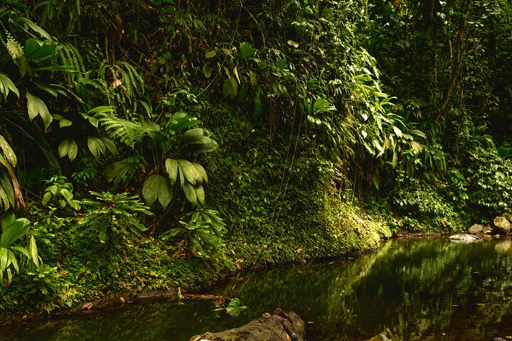 Full Day Tour of Guadeloupe