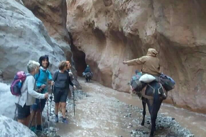 Hiking Valley of Roses and Dades Morocco