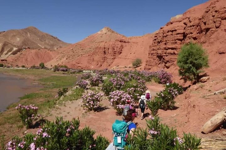 Hiking Valley of Roses and Dades Morocco