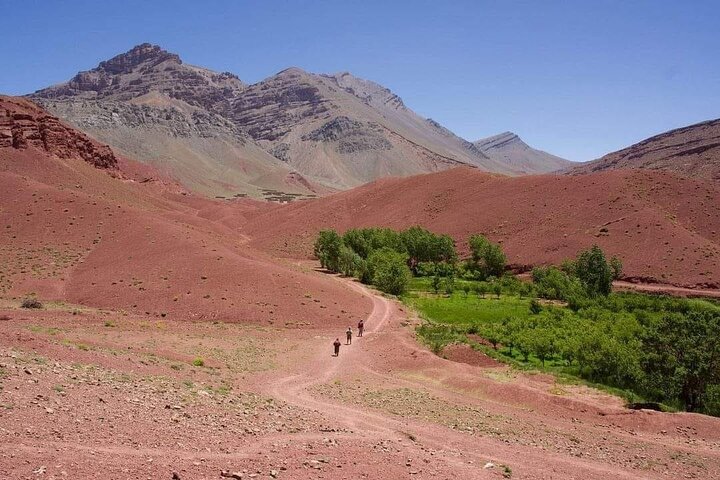 Hiking Valley of Roses and Dades Morocco