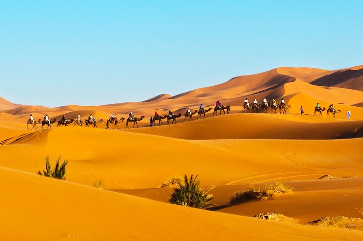 Exclusive Merzouga Desert Safari: Camel Ride, Sandsurf & Dinner