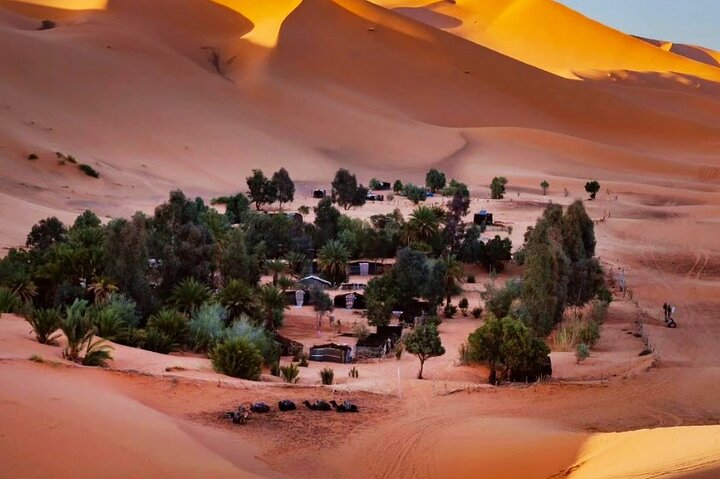Exclusive Merzouga Desert Safari: Camel Ride, Sandsurf & Dinner