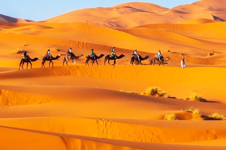 Exclusive Merzouga Desert Safari: Camel Ride, Sandsurf & Dinner