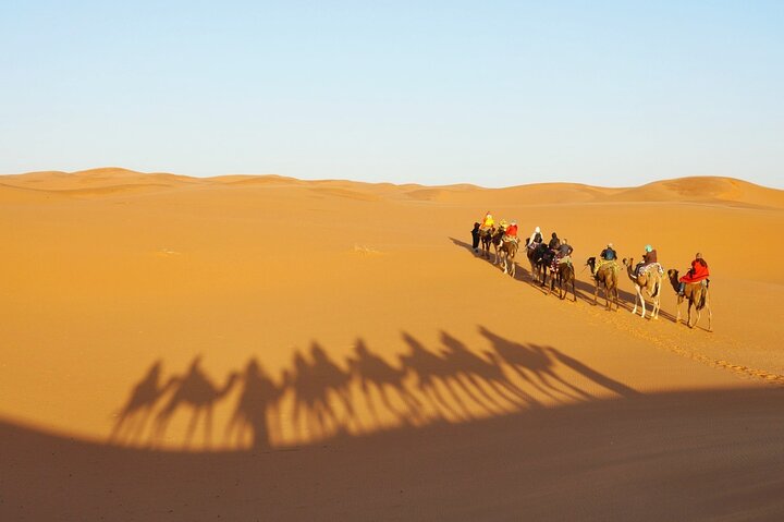 Exclusive Merzouga Desert Safari: Camel Ride, Sandsurf & Dinner