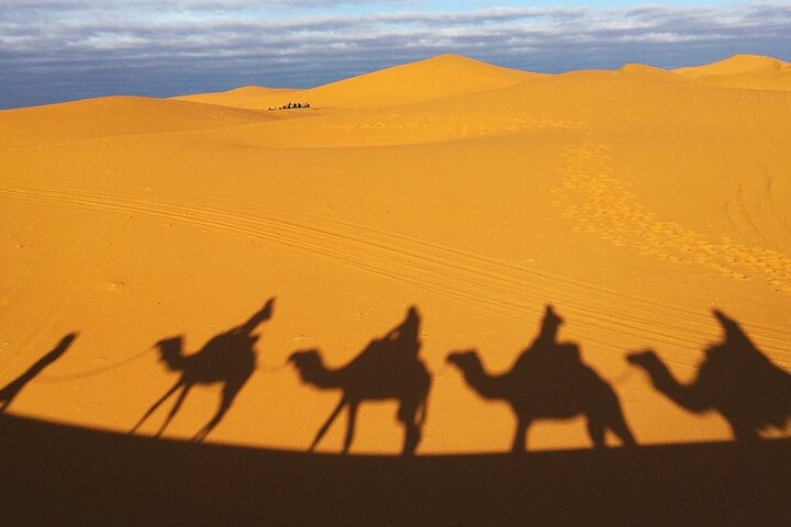 Exclusive Merzouga Desert Safari: Camel Ride, Sandsurf & Dinner