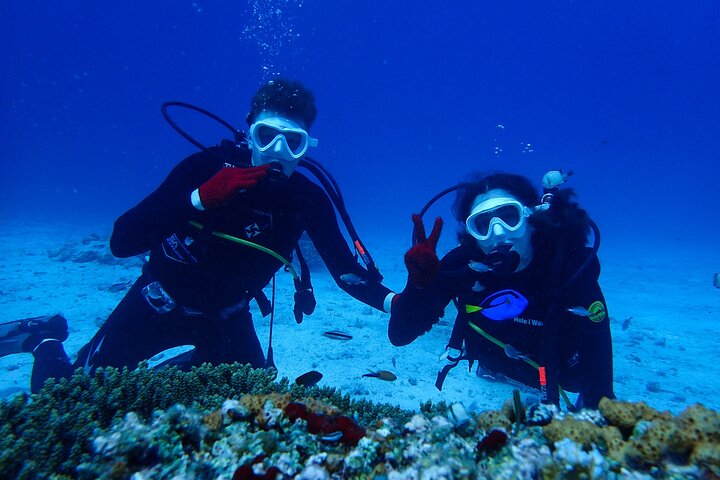 Okinawa: Scuba Diving Tour with Wagyu BBQ Lunch and English guide