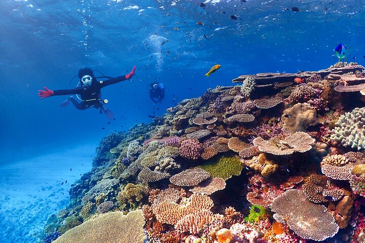 Okinawa: Scuba Diving Tour with Wagyu BBQ Lunch and English guide