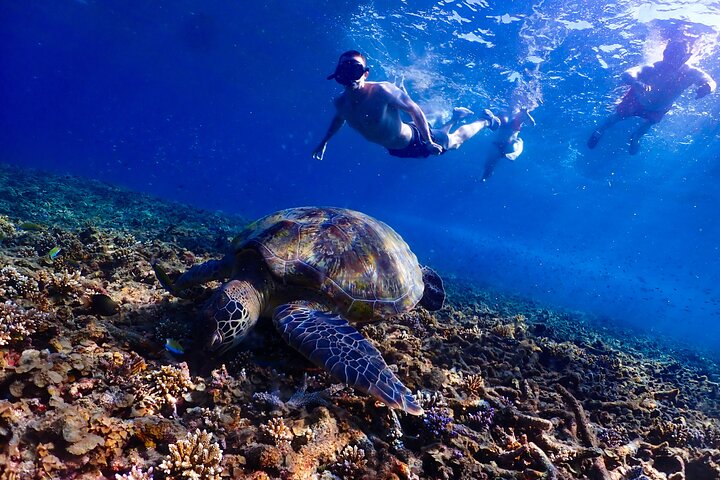 5 Islands Full-Day Tour Around Koh Tao and Koh Nangyuan
