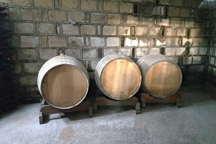 Trentino Wine Journey: Organic Vineyards & Local Delights
