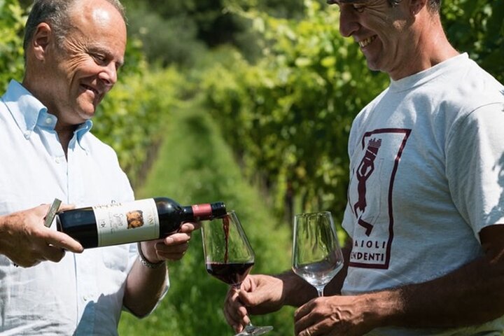 Trentino Wine Journey: Organic Vineyards & Local Delights