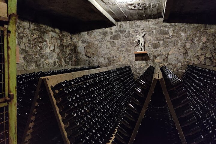 Trentino Wine Journey: Organic Vineyards & Local Delights