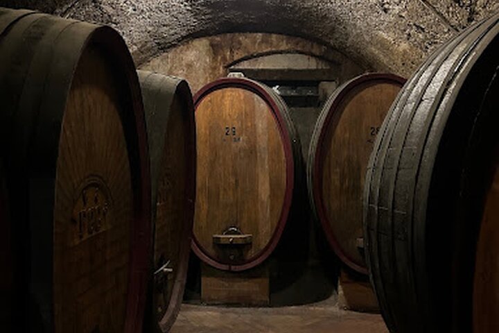 Trentino Wine Journey: Organic Vineyards & Local Delights