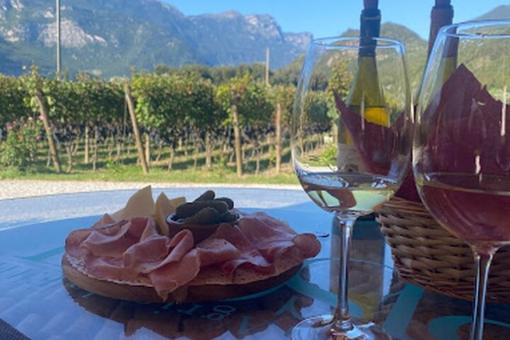 Trentino Wine Journey: Organic Vineyards & Local Delights