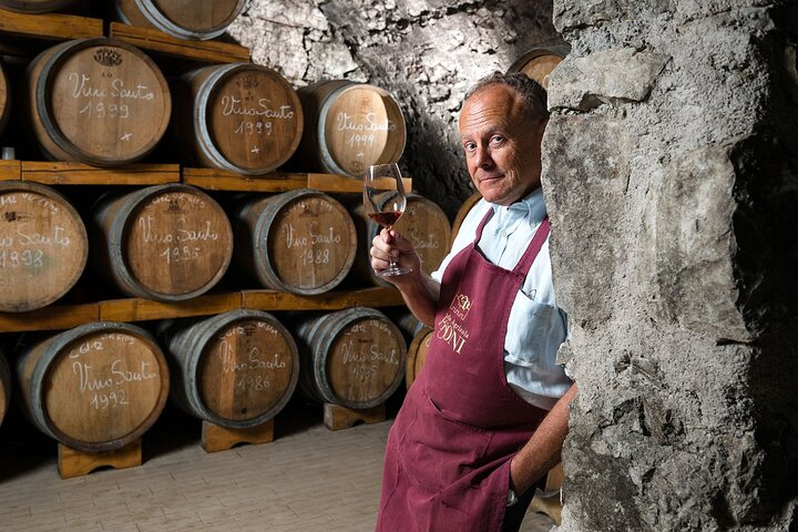 Trentino Wine Journey: Organic Vineyards & Local Delights