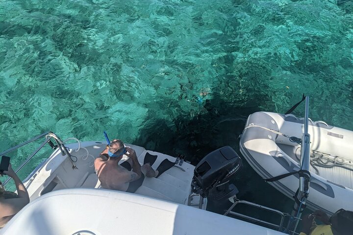 Nassau 3-stops: Snorkeling, Swimming Pigs, Turtles & Lunch