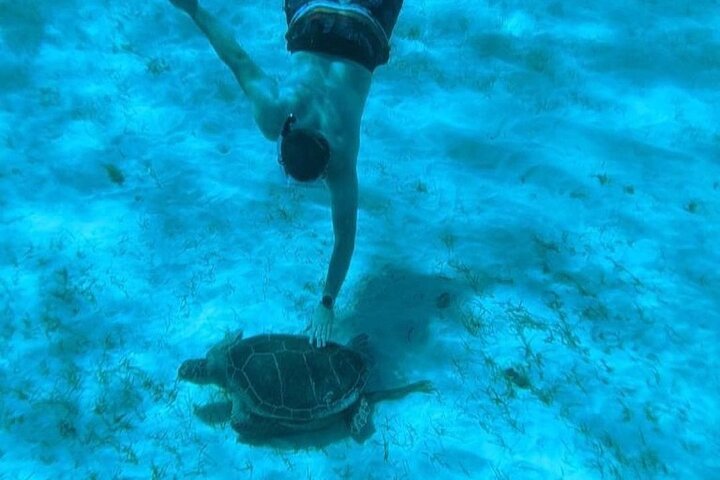 Rose Island Adventure Snorkel Sea Turtles and Private Beach