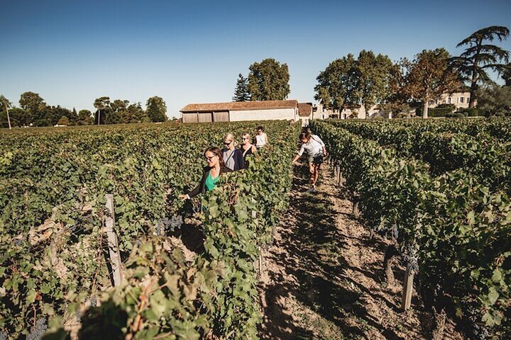 St-Emilion & Médoc Wine Day Tour: Chateaus, Tastings and Lunch