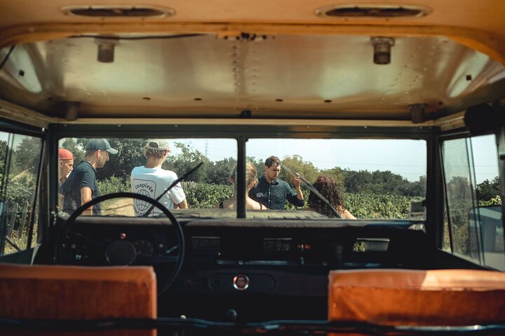 Private Half Day Wine Tour from Lyon in Beaujolais